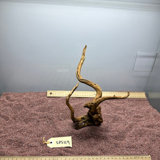 Spiderwood (Small)