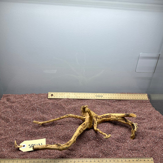 Spiderwood (Small)