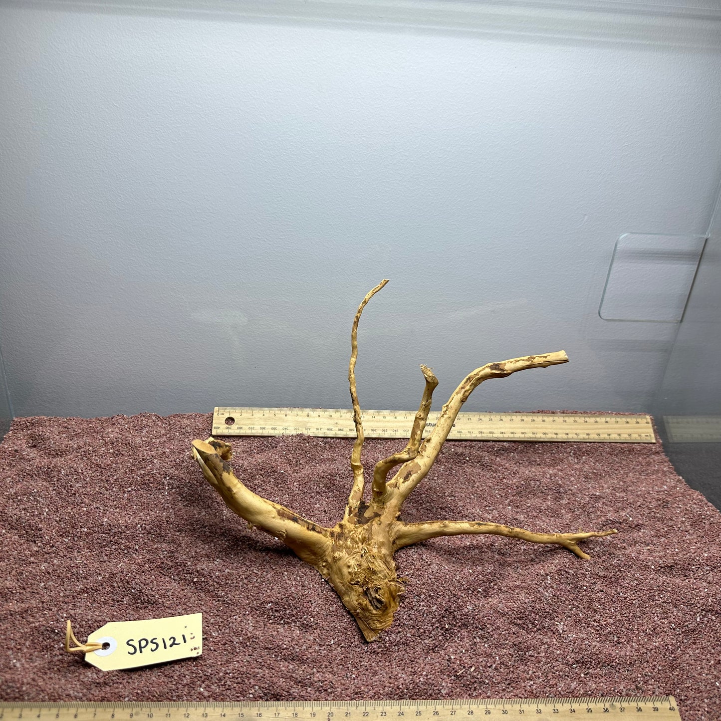 Spiderwood (Small)