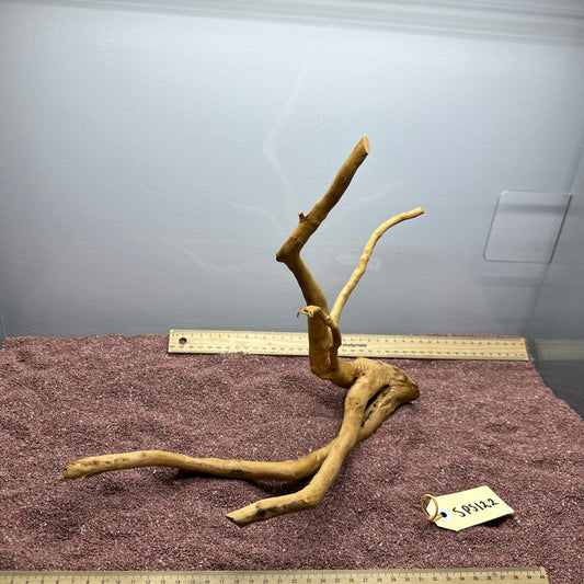 Spiderwood (Small)