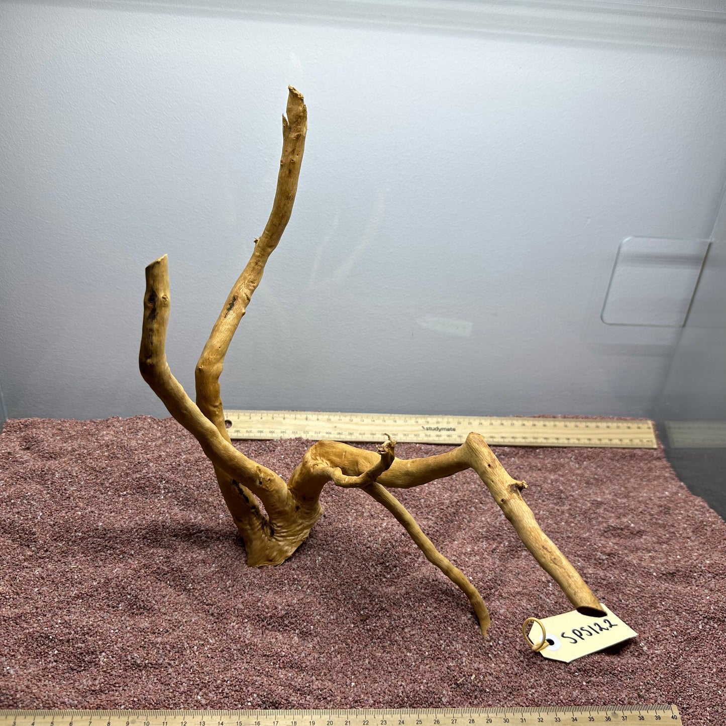 Spiderwood (Small)
