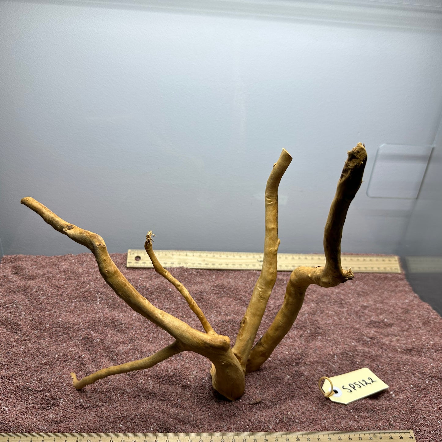 Spiderwood (Small)