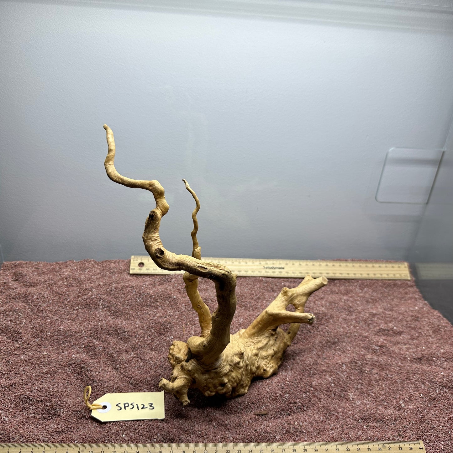 Spiderwood (Small)