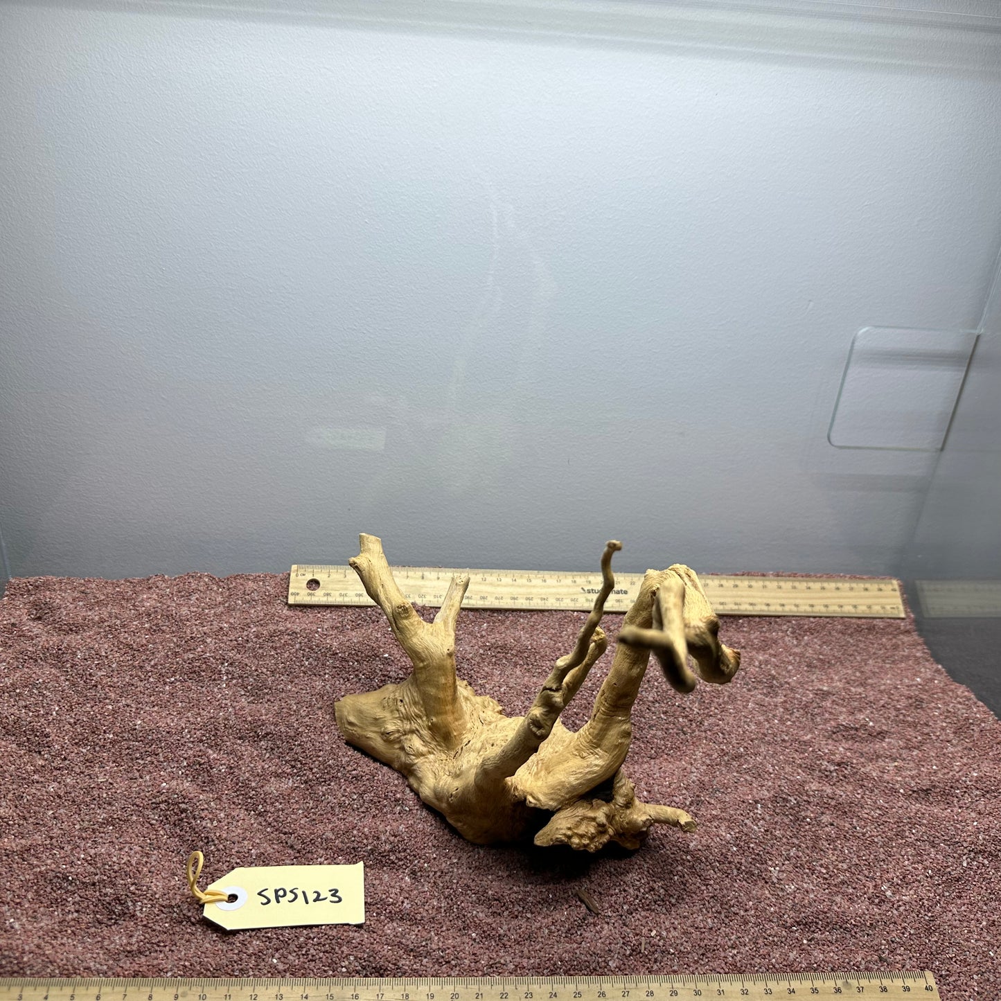 Spiderwood (Small)
