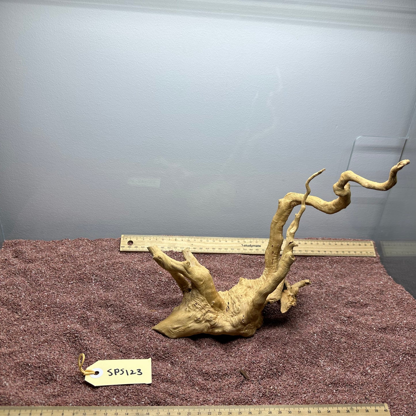 Spiderwood (Small)