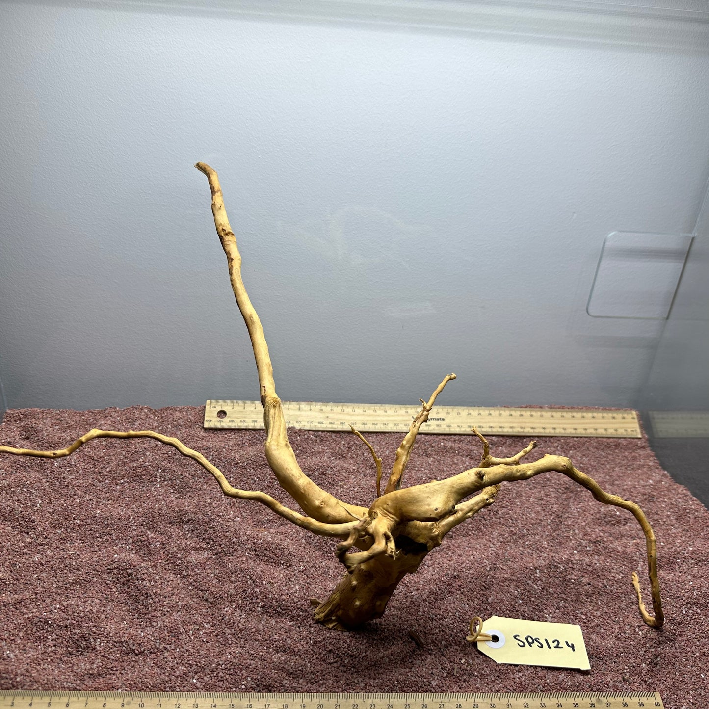Spiderwood (Small)