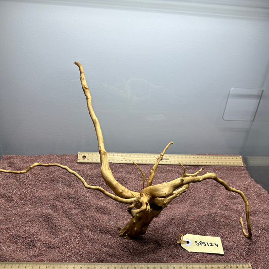 Spiderwood (Small)
