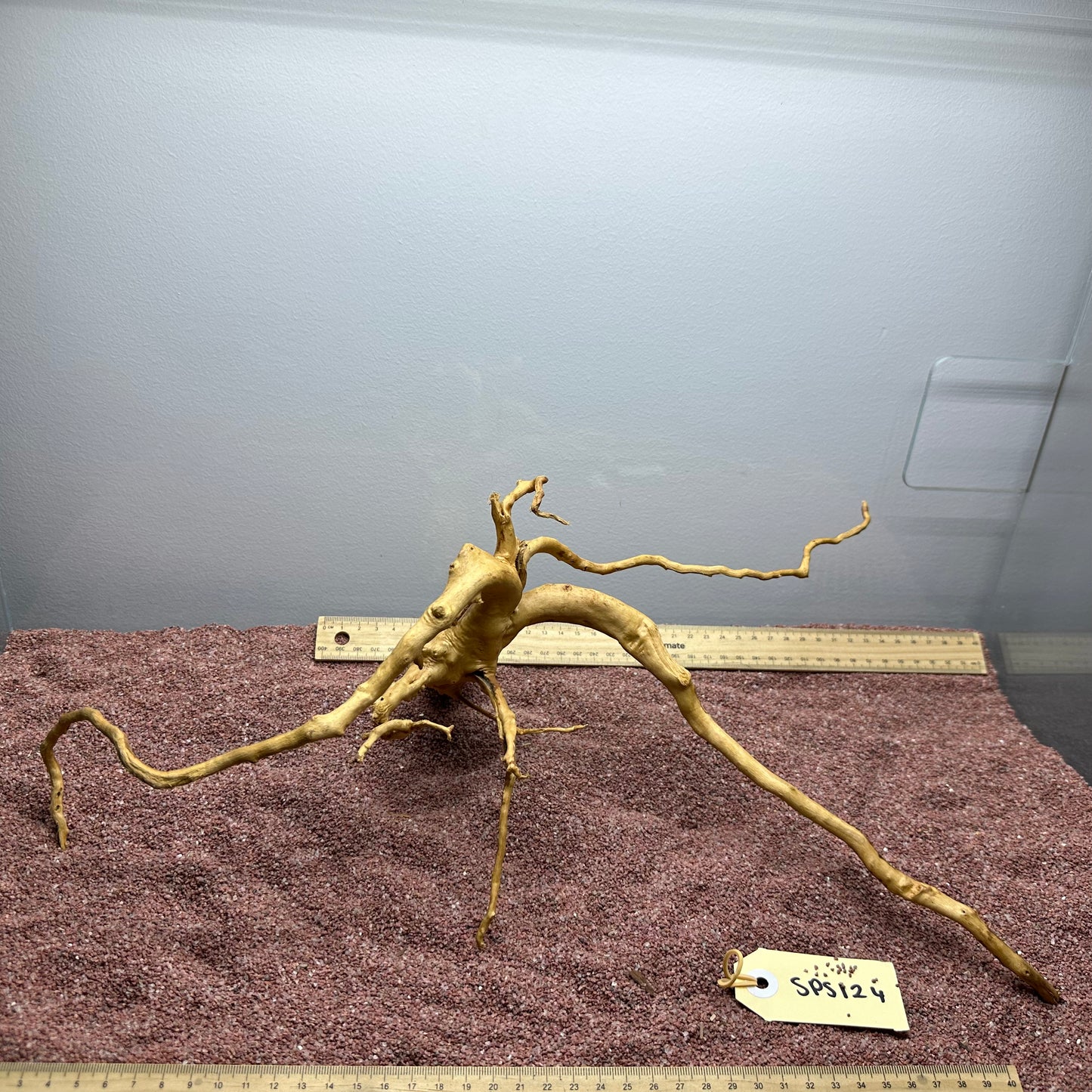 Spiderwood (Small)