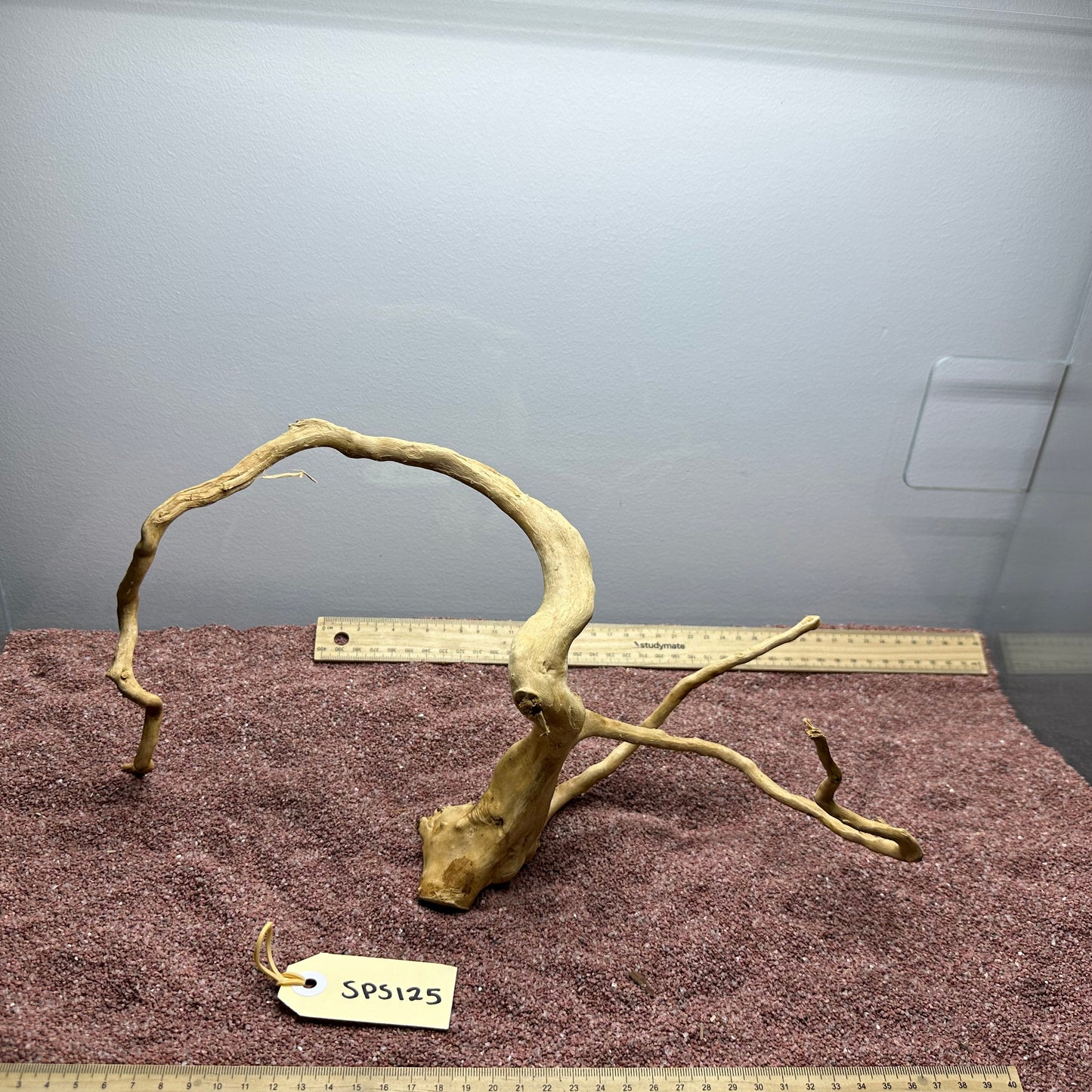 Spiderwood (Small)