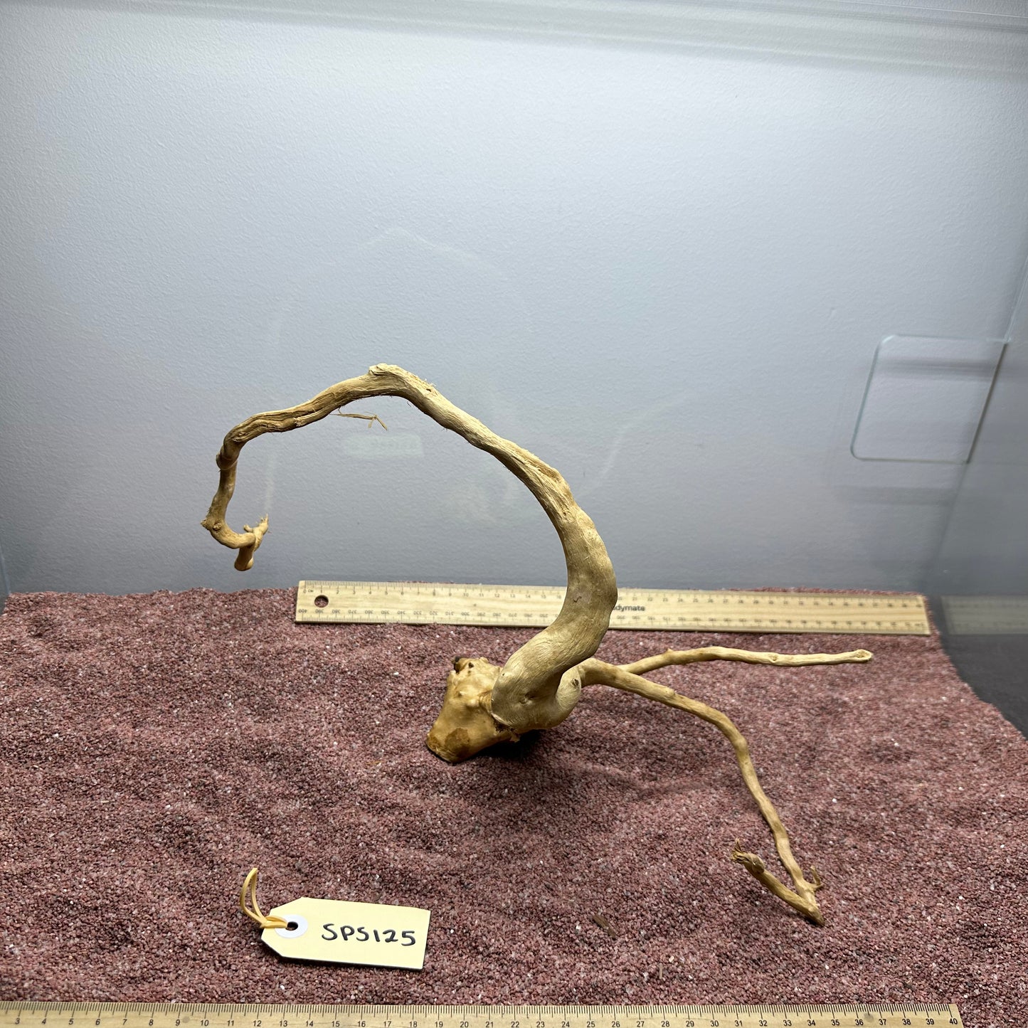 Spiderwood (Small)