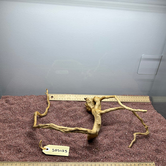 Spiderwood (Small)