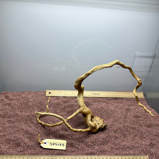 Spiderwood (Small)