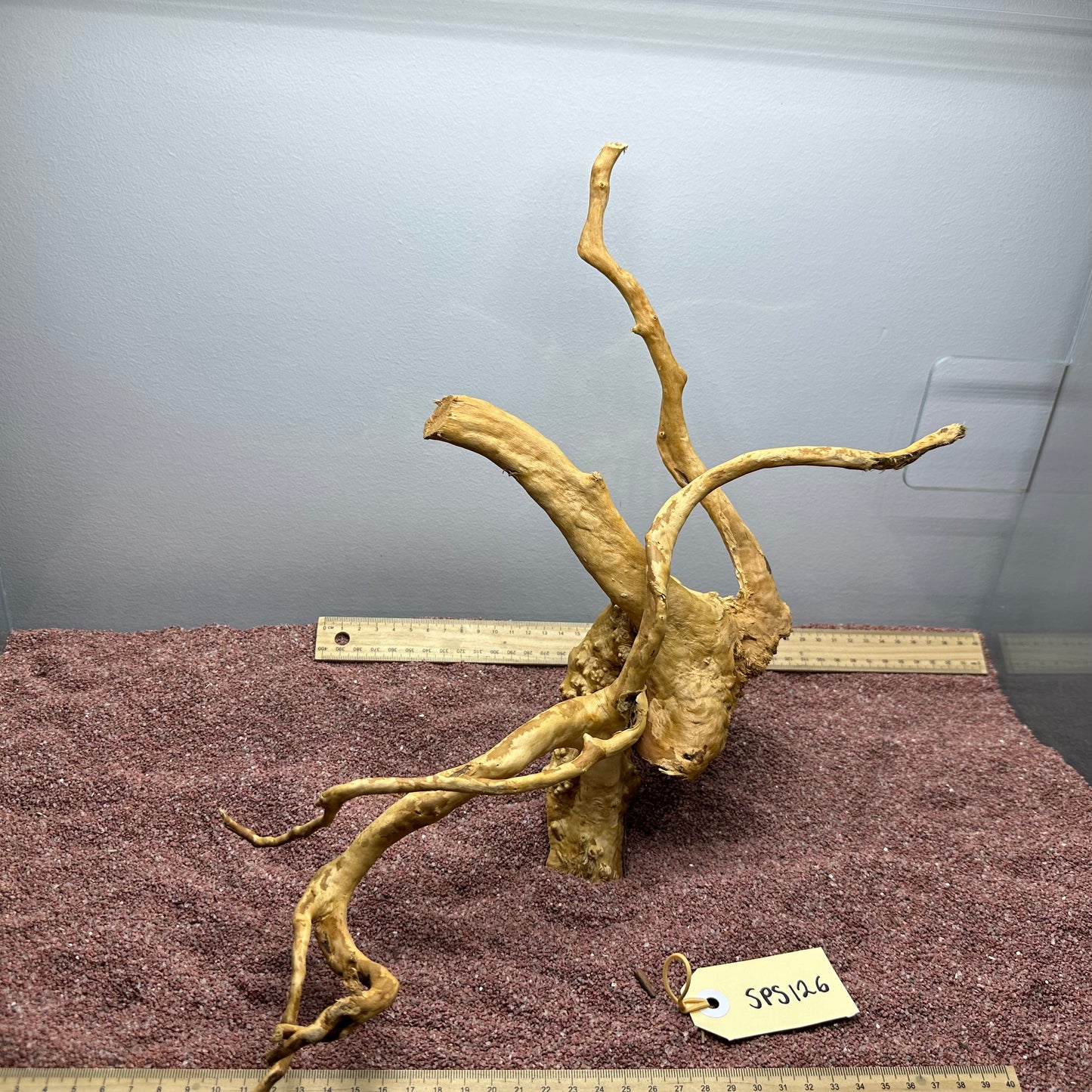 Spiderwood (Small)