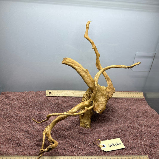 Spiderwood (Small)