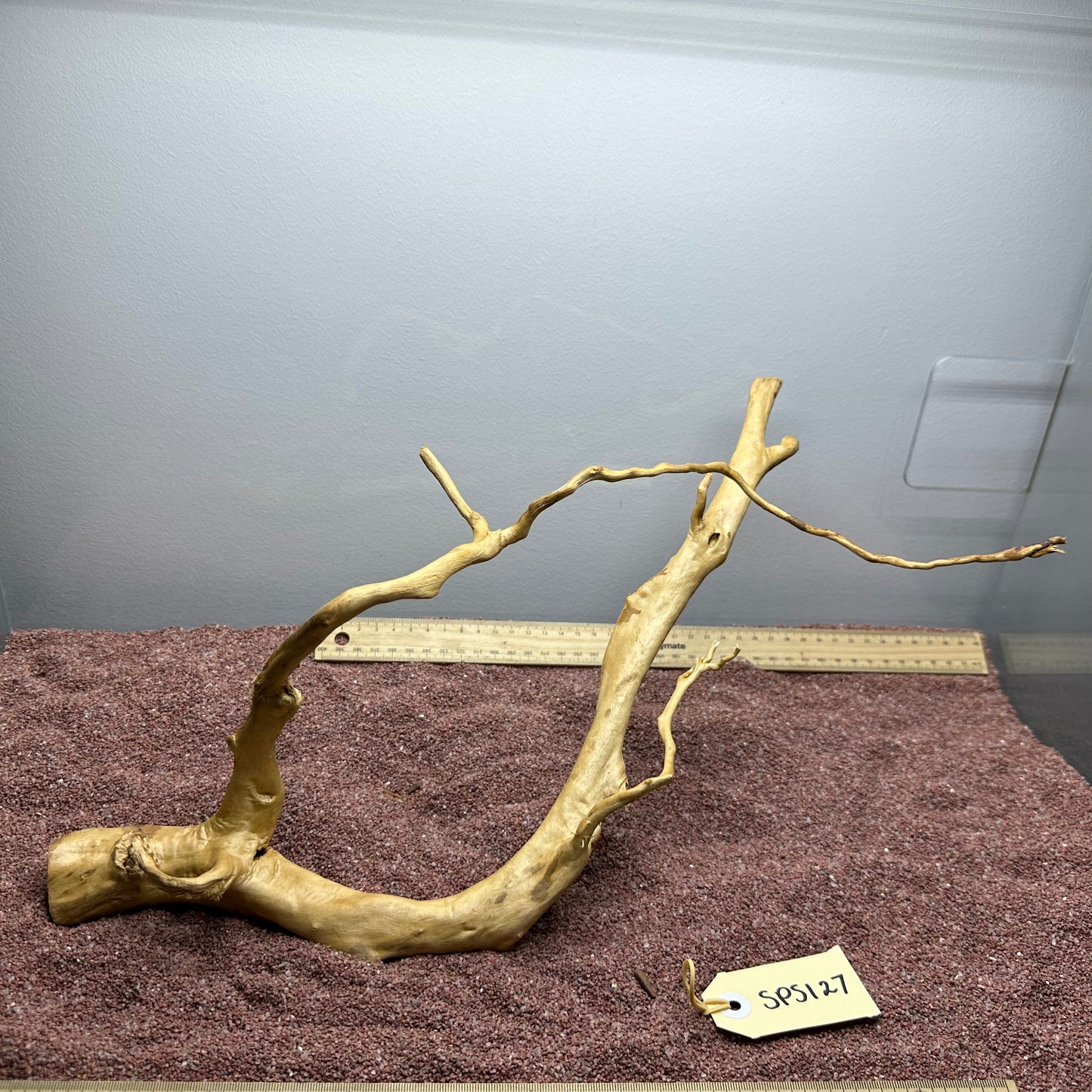 Spiderwood (Small)