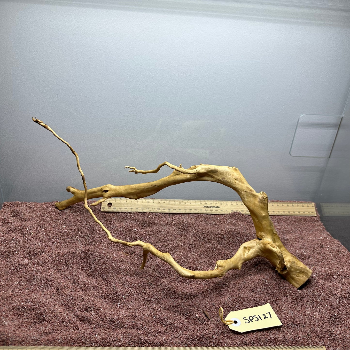 Spiderwood (Small)