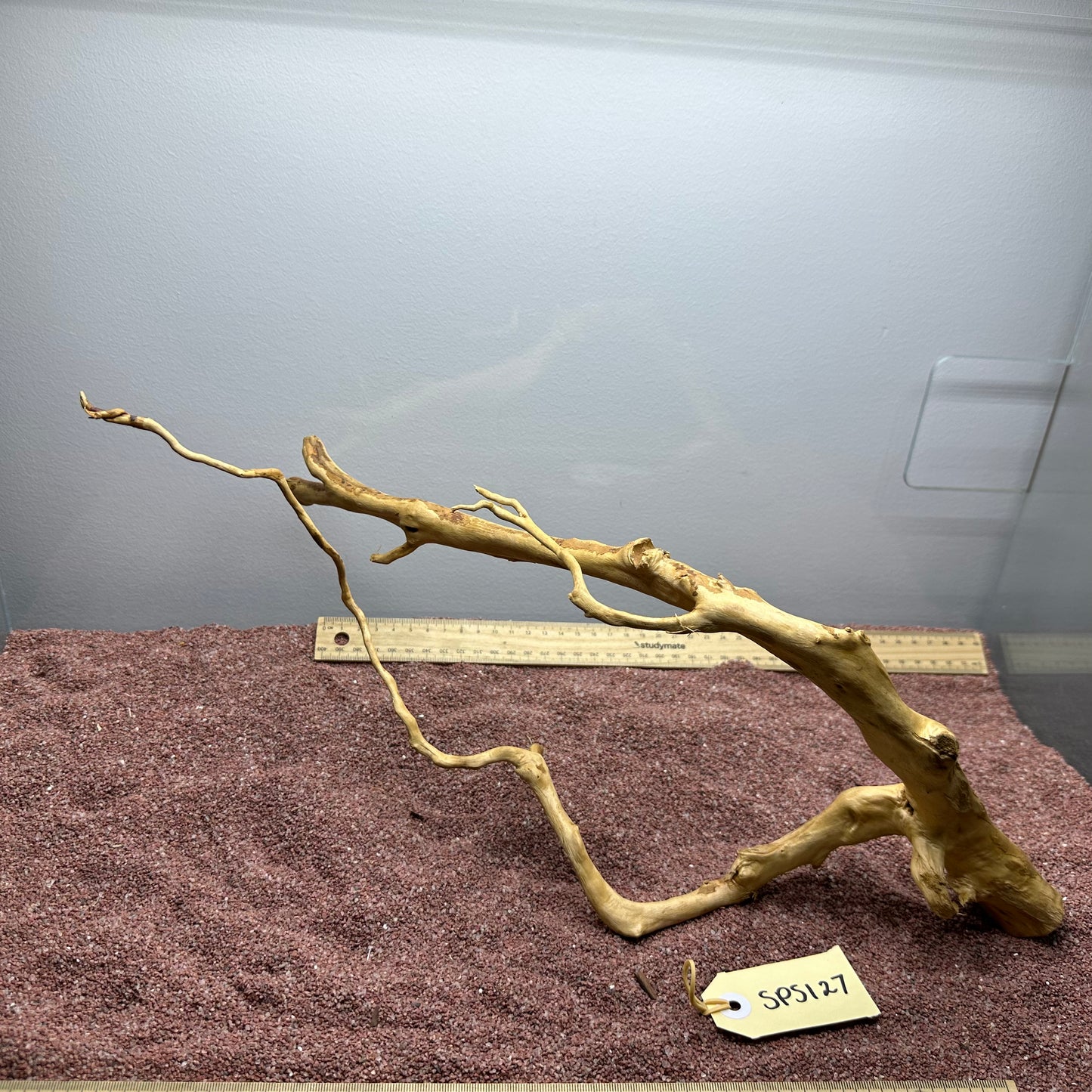 Spiderwood (Small)