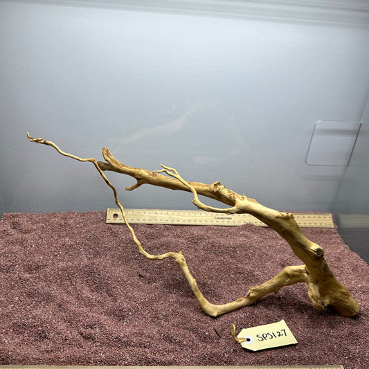 Spiderwood (Small)