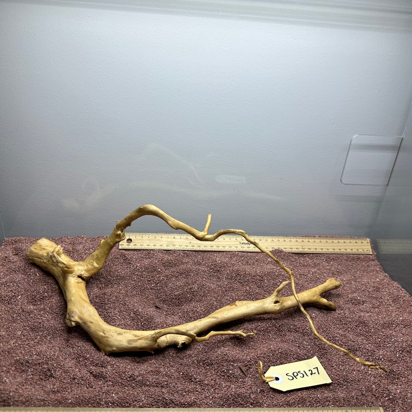 Spiderwood (Small)