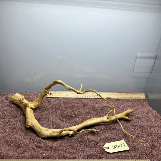 Spiderwood (Small)