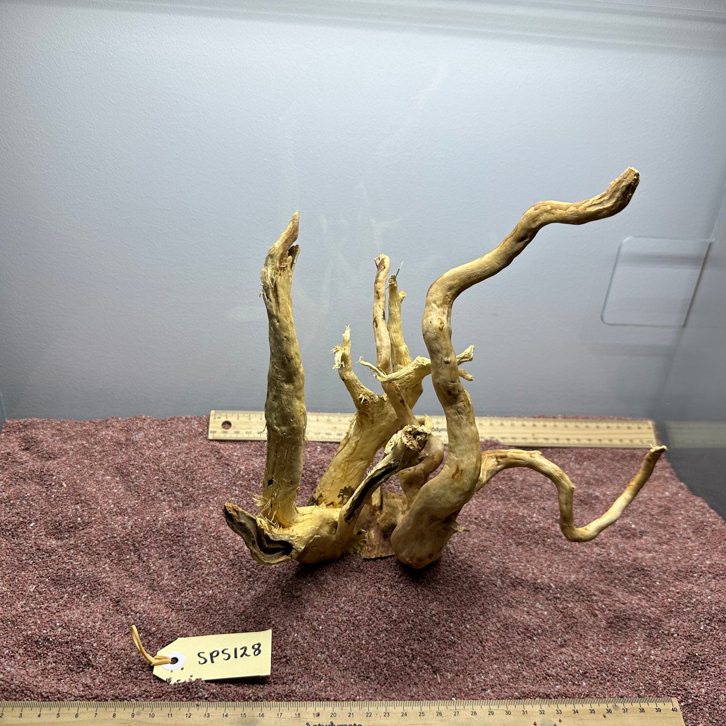 Spiderwood (Small)