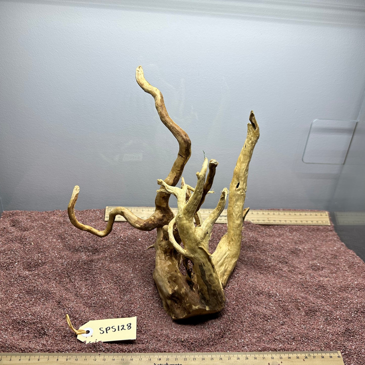 Spiderwood (Small)