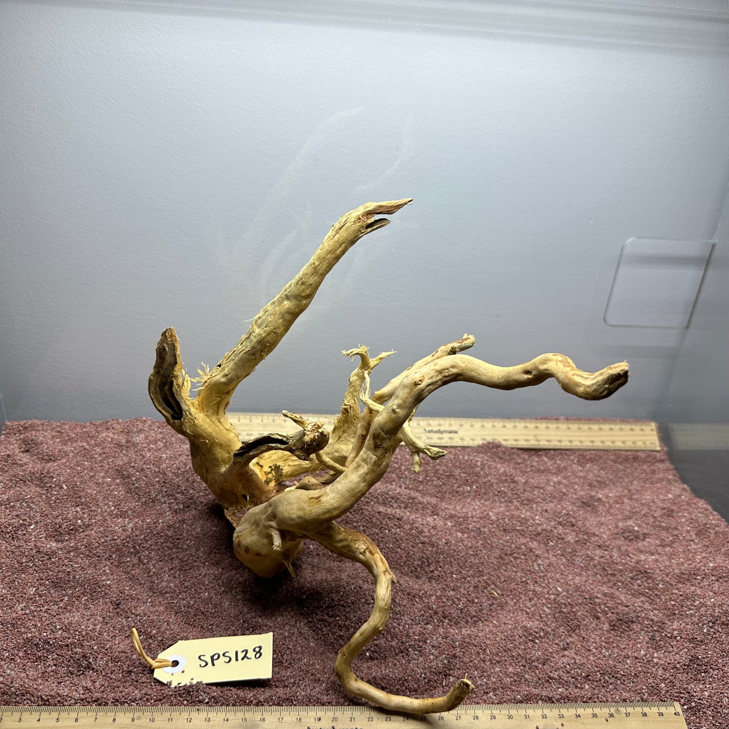 Spiderwood (Small)