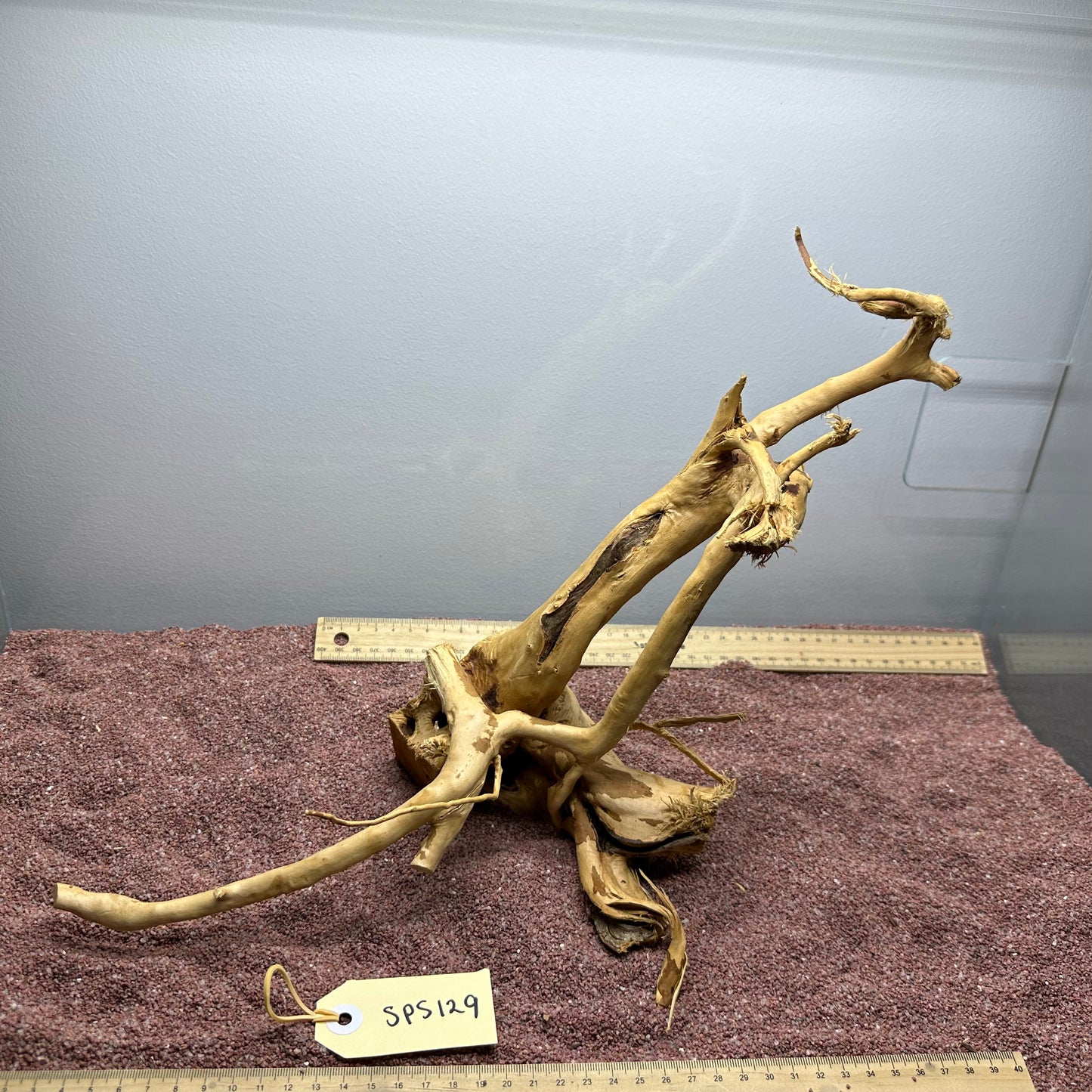 Spiderwood (Small)