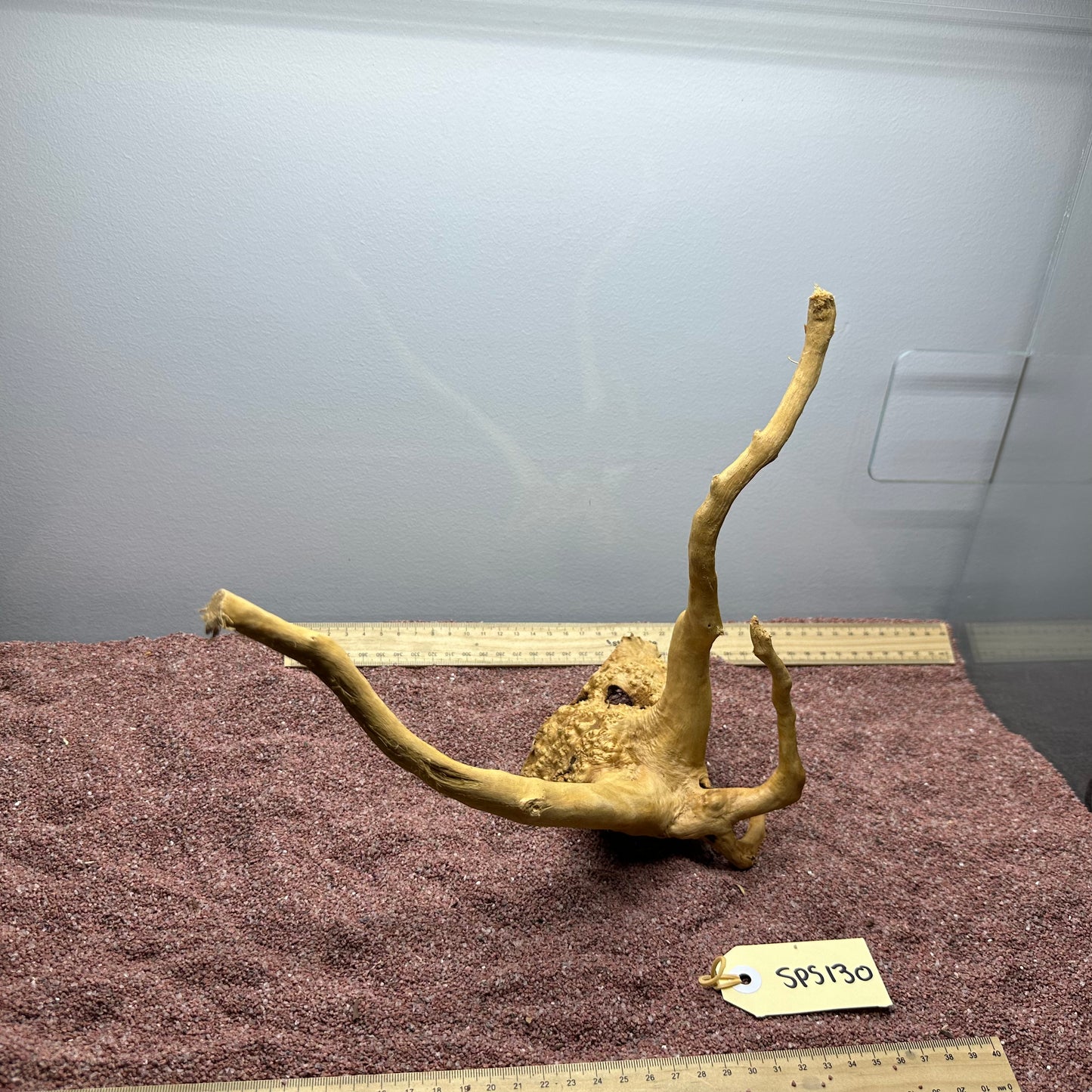 Spiderwood (Small)