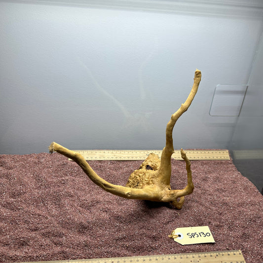 Spiderwood (Small)