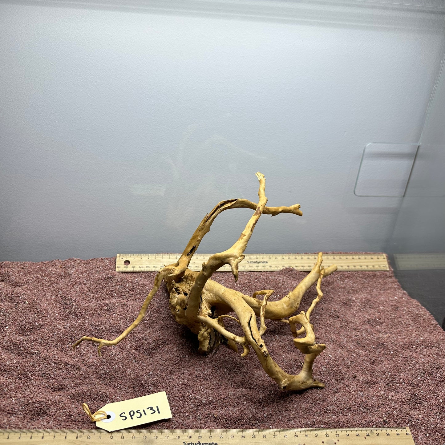 Spiderwood (Small)