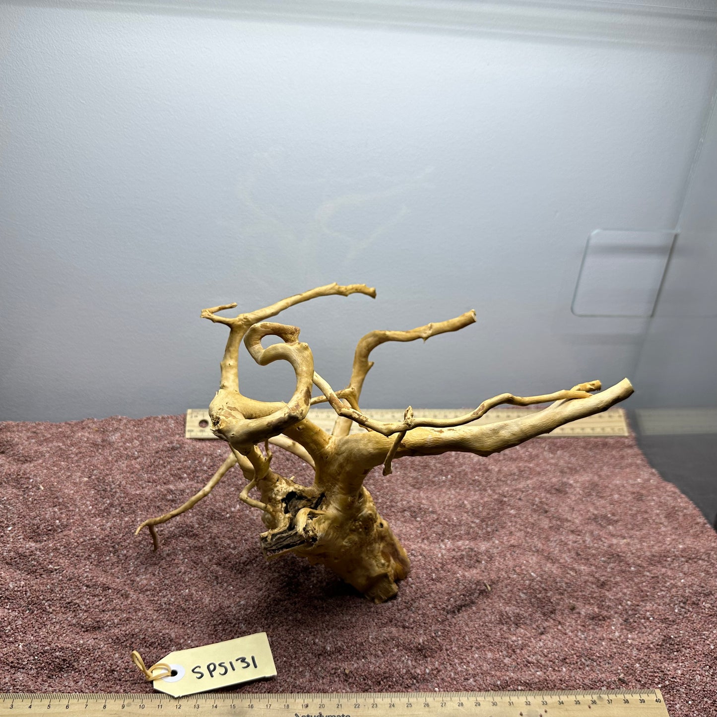 Spiderwood (Small)