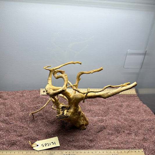 Spiderwood (Small)