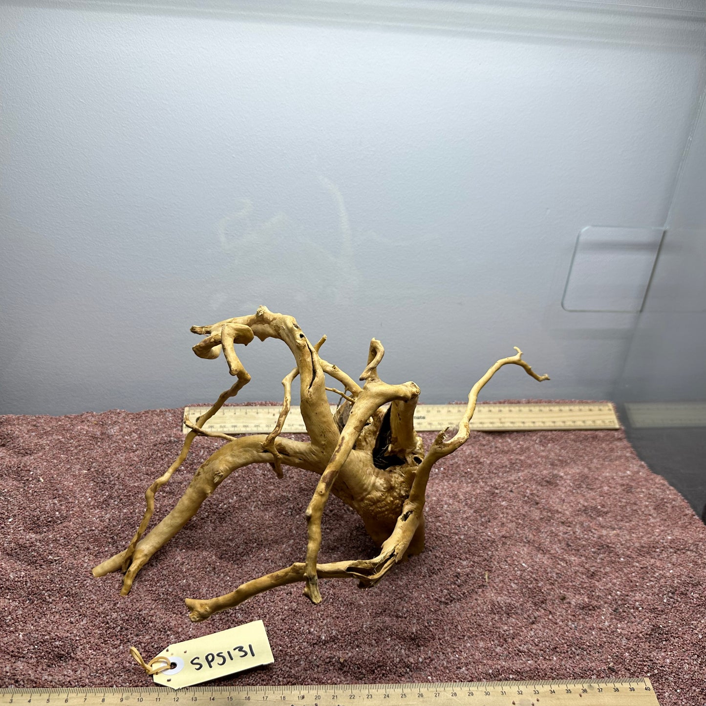 Spiderwood (Small)