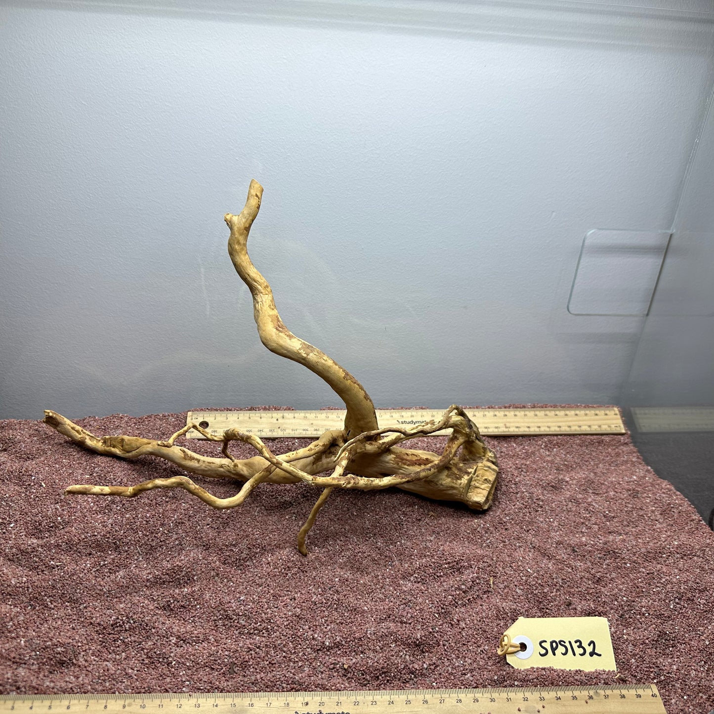 Spiderwood (Small)