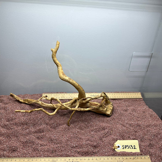 Spiderwood (Small)