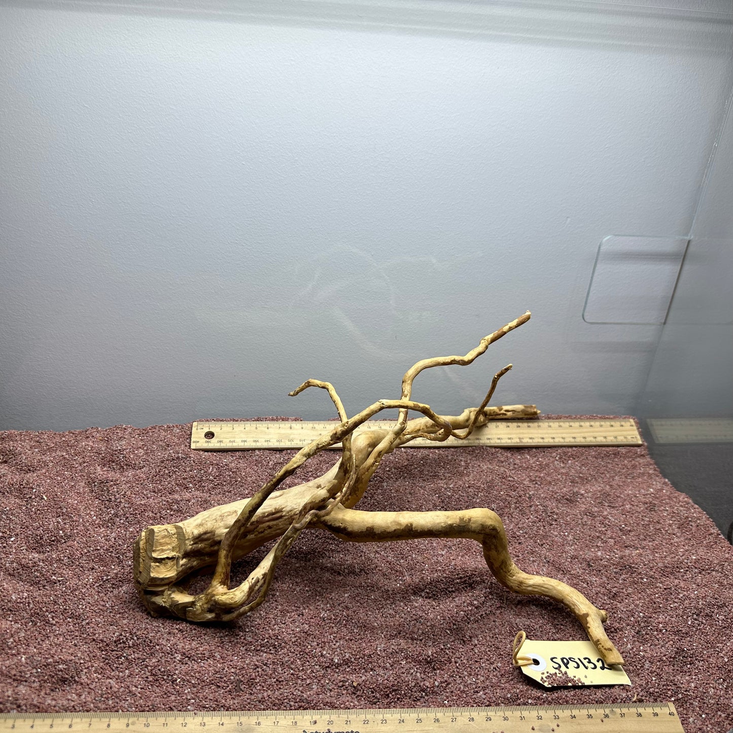 Spiderwood (Small)