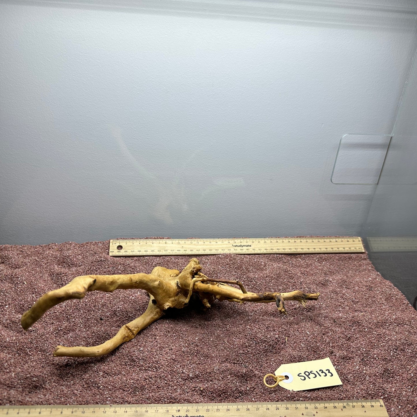 Spiderwood (Small)