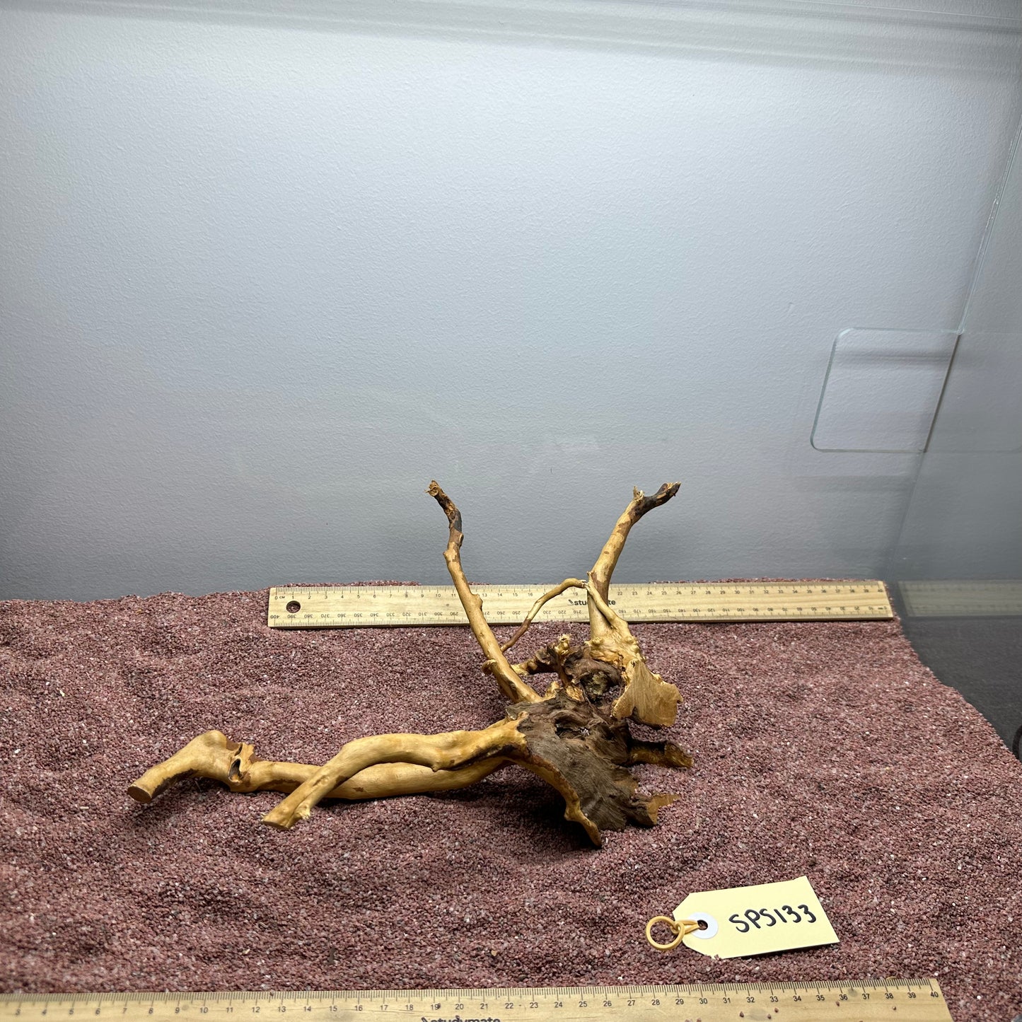Spiderwood (Small)