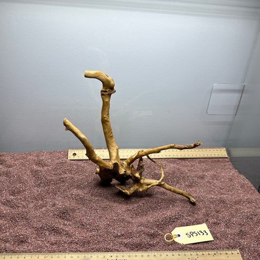 Spiderwood (Small)