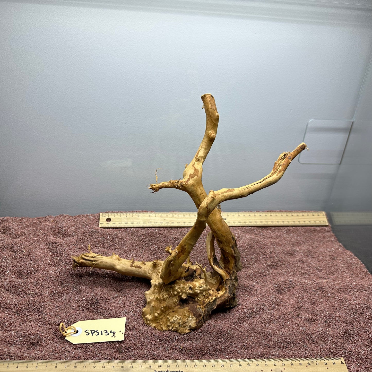 Spiderwood (Small)