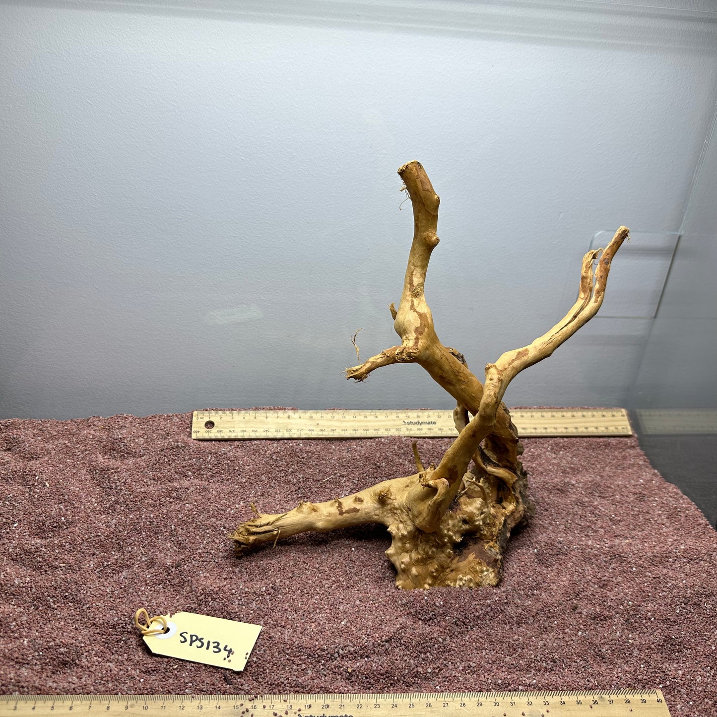 Spiderwood (Small)