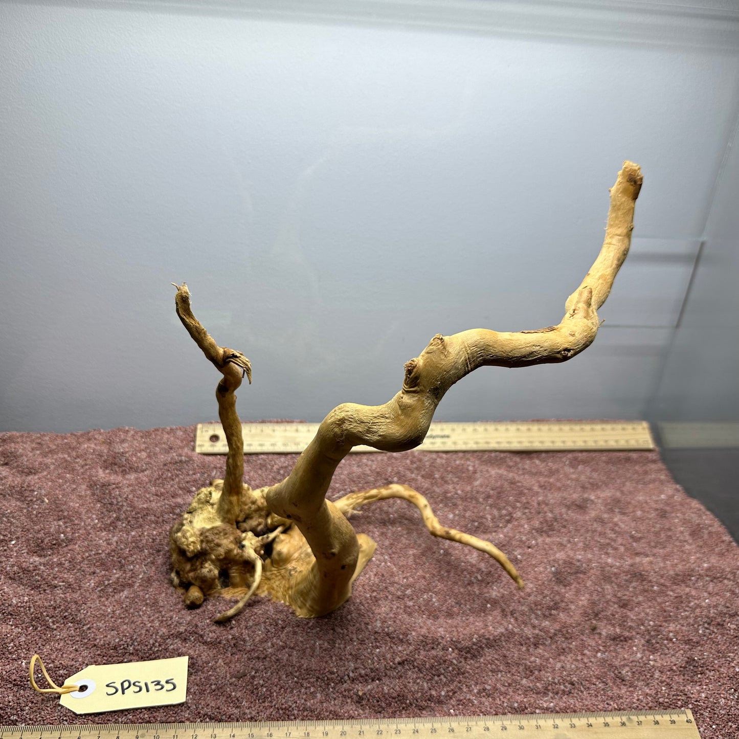 Spiderwood (Small)