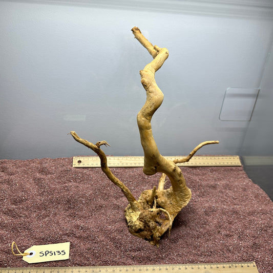 Spiderwood (Small)