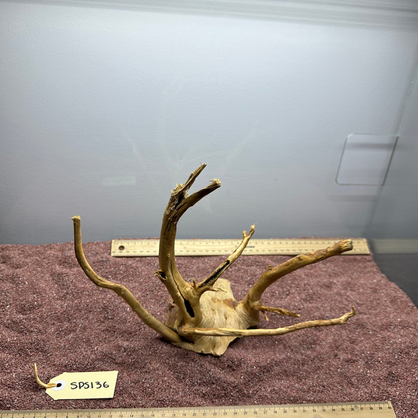 Spiderwood (Small)