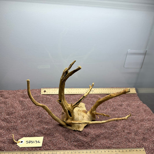 Spiderwood (Small)