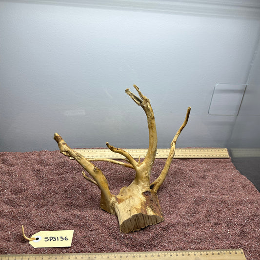 Spiderwood (Small)
