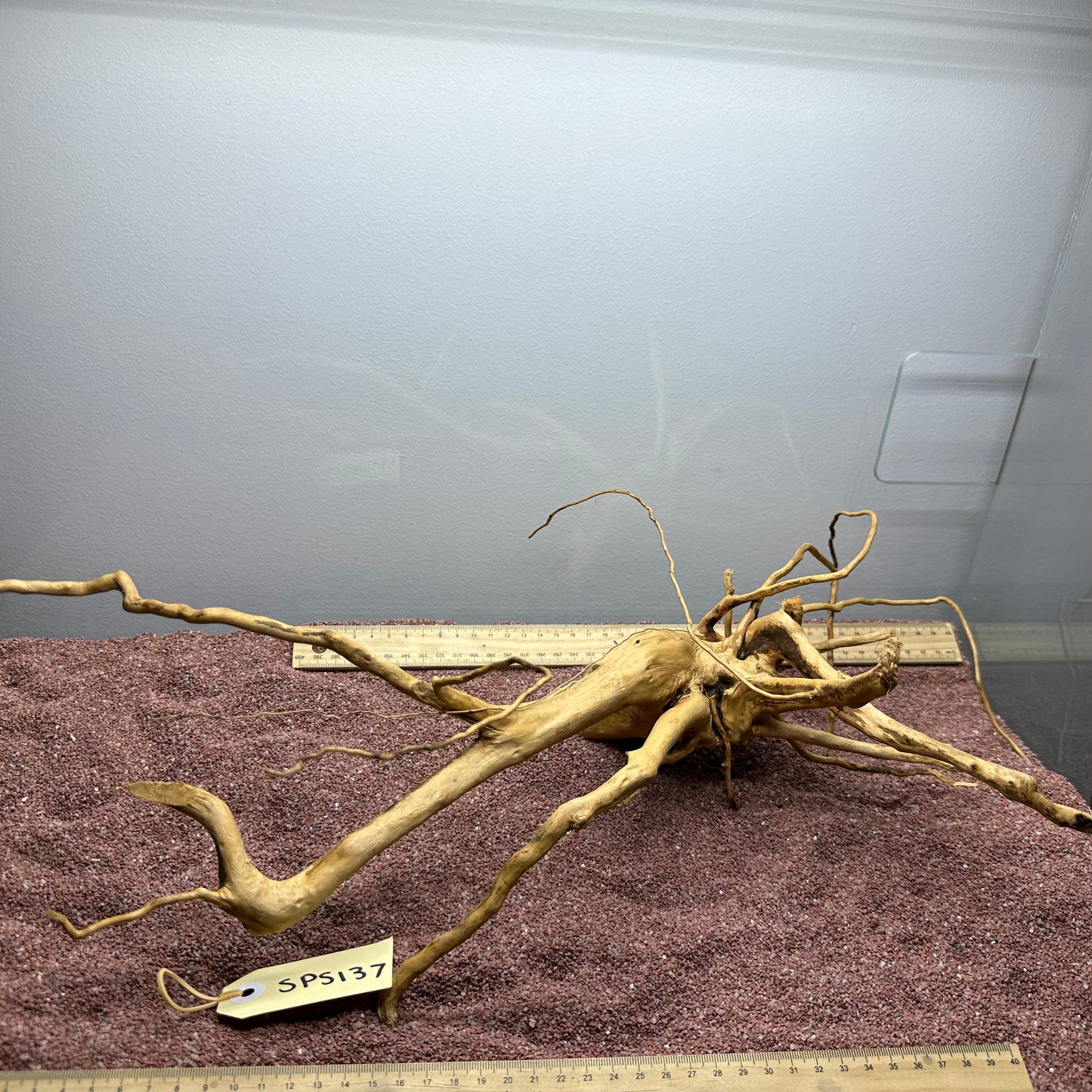 Spiderwood (Small)