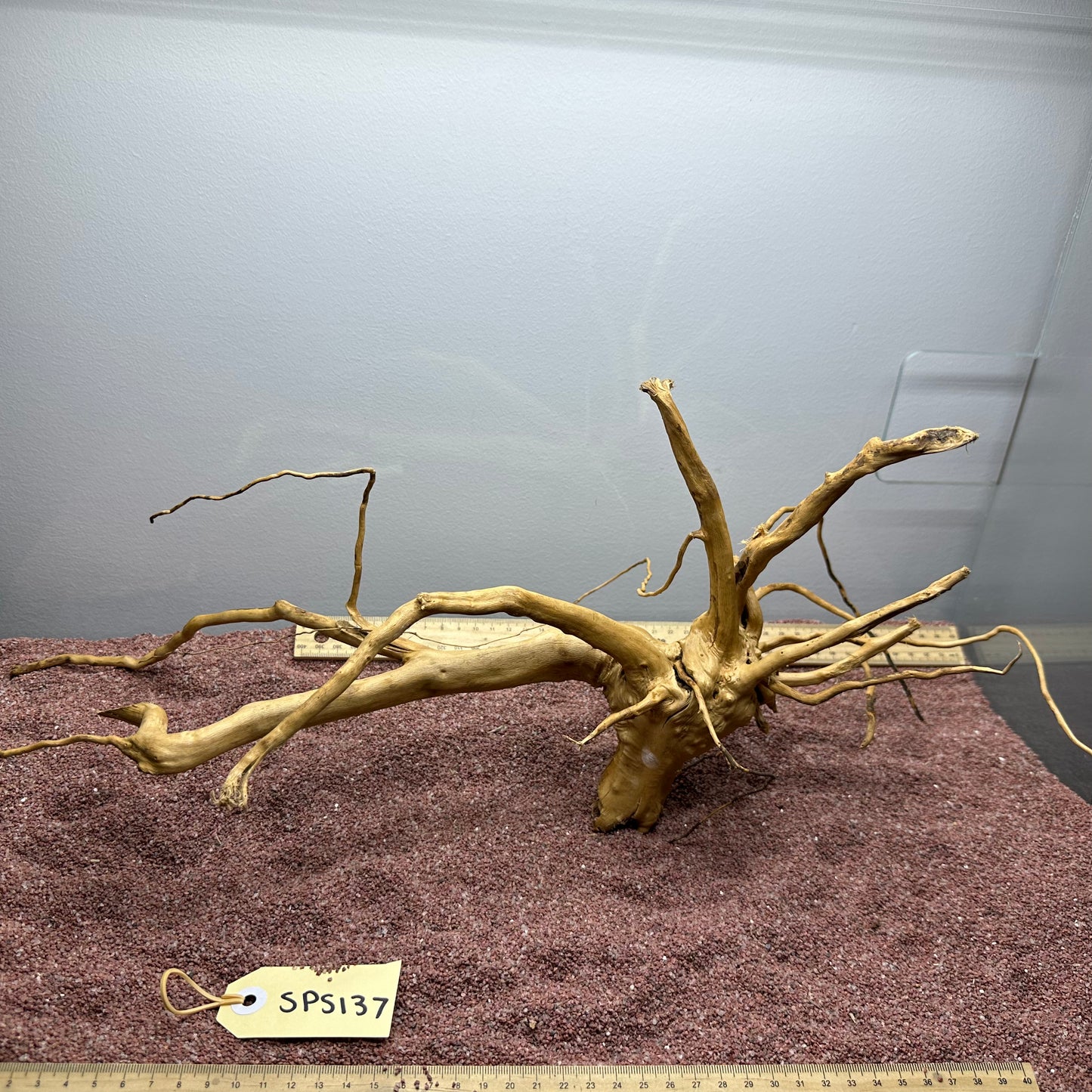 Spiderwood (Small)