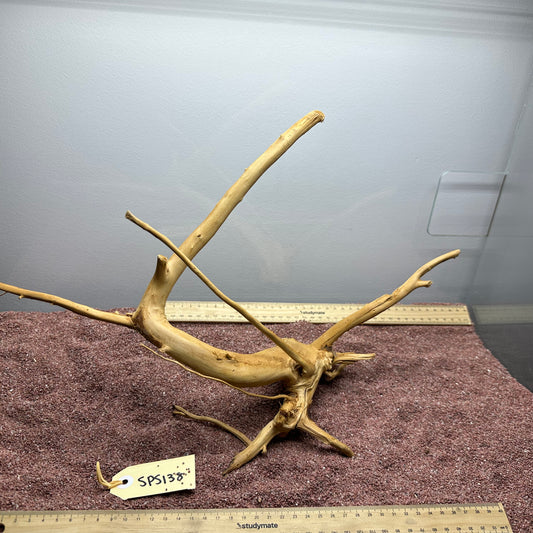 Spiderwood (Small)